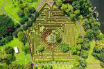 AI Maze Solver